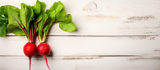 Aufkleber - A single vibrant red radish with its fresh green leaves set against a white wooden background A vegetable themed backdrop perfect for displaying text Top view. Creative banner. Copyspace image