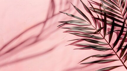 Canvas Print - Blurred shadow from palm leaves on the light pink wall. Minimal abstract background for product presentation. Spring and summer. 