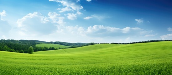 Poster - An idyllic summer scene with green hills of a plowed agricultural field and forest The sky is dramatic after the rain providing a pure nature setting perfect for countryside living eco tourism and en