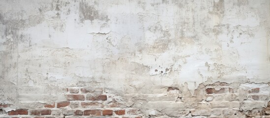 Leinwandbilder - An angle view of a worn and dingy brick wall with a texture resembling white paint creating a background for copy space image 196 characters