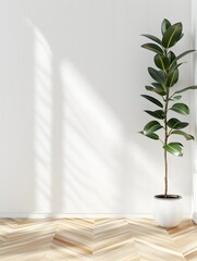 white cladding panel wall with rubber tree plant, wood floor, interior 3d illustration.