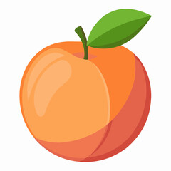 illustration of an peach fruit