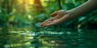 © Thares2020 - Vibrant hand touching lush green river water amidst serene forest backdrop conveying environmental sustainability