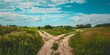 © Anastasiia - Rural crossroads with two dirt paths diverging symbolizing decisionmaking and choice. Concept Rural scenery, Crossroads, Dirt paths, Decision-making, Choice