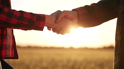 Sticker - handshake farmers business contract. agriculture business farm concept. handshake business contract of two farmers close-up. handshake workers in a field with wheat lifestyle at sunset