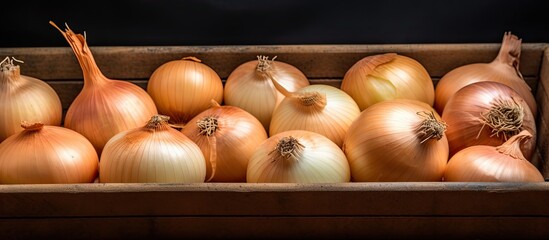 Aufkleber - Organic onions in the tray. Creative banner. Copyspace image