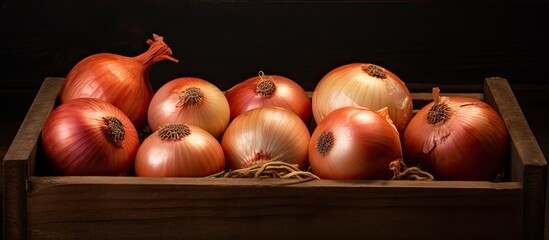 Aufkleber - Organic onions in the tray. Creative banner. Copyspace image