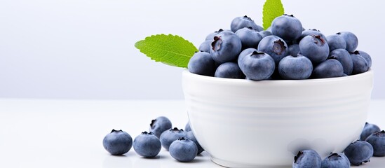 Poster - Ripe blueberries berries in a white ceramic cup on white isolated closeup. Creative banner. Copyspace image