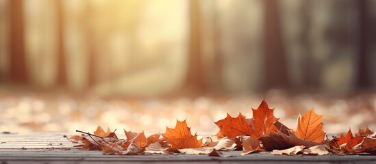 Wall Mural - there are many leaves falling on the floor in the autumn on a blurred background. creative banner. c