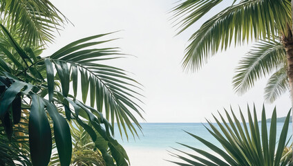 Wall Mural - creative layout of colorful palm leaves on a white background in the rays of the sun, with shadows. 