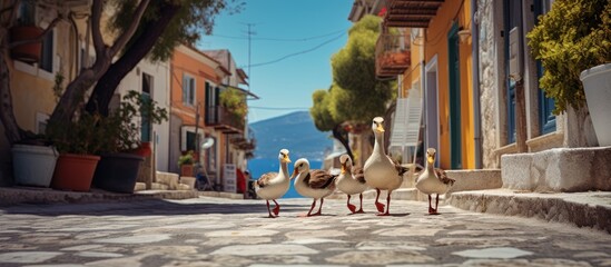 Aufkleber - geese family walks through greek street with babies. Creative banner. Copyspace image