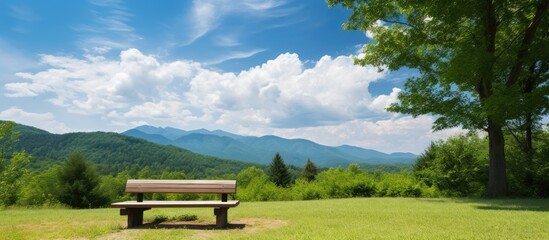 Poster - mountains green forest meadow blue sky and white clouds and with a bench for rest in the foreground. Creative banner. Copyspace image