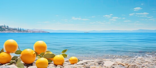 Canvas Print - Fruits float on the beach amidst the clear sky and beautiful sea used for background images. Creative banner. Copyspace image
