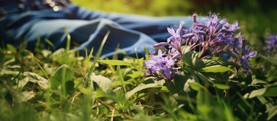 Aufkleber - The blue jeans among little ironweed flowers. Creative banner. Copyspace image