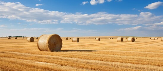 Aufkleber - Rural landscape field meadow with hay bales after harvest. Creative banner. Copyspace image
