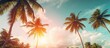 © HN Works - many beautiful high Palm trees grow near aleya palms tropical island and beautiful trees grow to the sky Asia tropical. Creative banner. Copyspace image