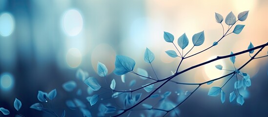 Aufkleber - Blue bokeh on defocus in the nature for art abstract blurred background or texture. Creative banner. Copyspace image