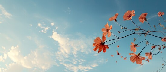 Poster - A parasitic flower that hangs from a tree. Creative banner. Copyspace image