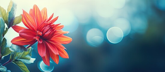 Poster - Flower Bright Vivid. Creative banner. Copyspace image