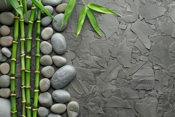 Wall Mural - Bamboo on grey stone background. Flat lay, top view