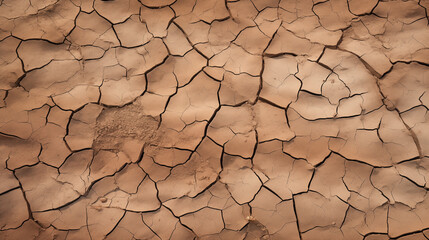 Sticker - Dry Cracked Earth Texture in Desert Climate