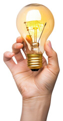 Wall Mural - PNG Person holding light bulb lightbulb white background electricity.