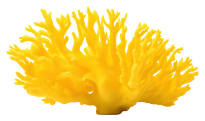 Sticker - PNG Underwater nature yellow sea.