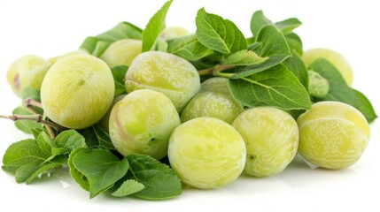 Wall Mural - Fresh green plums with vibrant leaves on white background