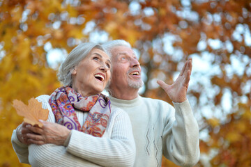 Wall Mural - Loving mature couple in the park in summer