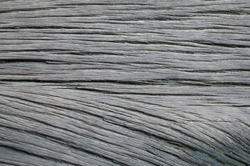 Wall Mural - close up of wood texture