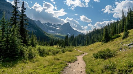 Wall Mural - View of the mountain on a long hiking trail to see