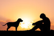 © STOCK PHOTO 4 U - Silhouette of a Person Sitting with a Dog at Sunset, Peaceful Moment in Nature, Tranquil Scene with Warm Colors, Friendship and Companionship, Serene Evening Outdoors