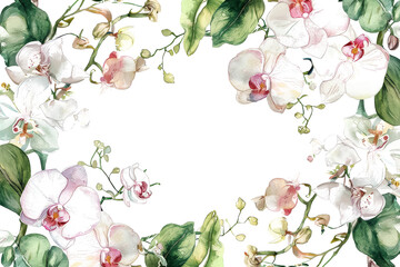 Wall Mural - A painting of a white flower with a green stem
