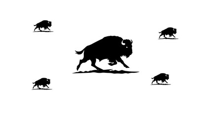 Poster - Zoom in and out animation the wild buffalo symbol. Large black symbol in the center and four small symbols around. Seamless looped 4k animation on white background