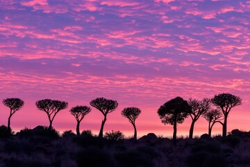 Wall Mural - Silhouette trees quiver against a purple sunset sky in the savanna, bathed in warmth