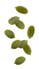 Wall Mural - falling pumpkin seed, isolated on white background, full depth of field