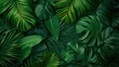 © Andrii  - Tropical Tranquility: Vibrant Green Foliage Banner