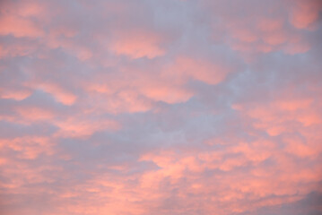 Wall Mural - sunset sky with mammatus clouds pink and purple