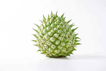 Closeup of a Green Spiky Fruit on a White Background