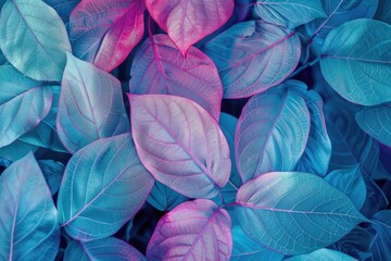 Fototapete - Colorful macro background of transparent skeleton leaves.