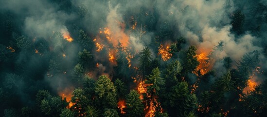 Wall Mural - Aerial View of a Forest Fire
