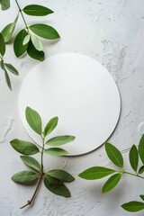 Canvas Print - A clean white plate surrounded by fresh green leaves on a white surface, ideal for use in food photography or as a decorative element