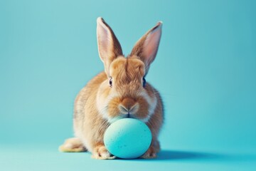 Aufkleber - A rabbit holds a blue egg in its mouth