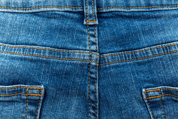 Canvas Print - Texture of jeans with pockets. Back view. Denim