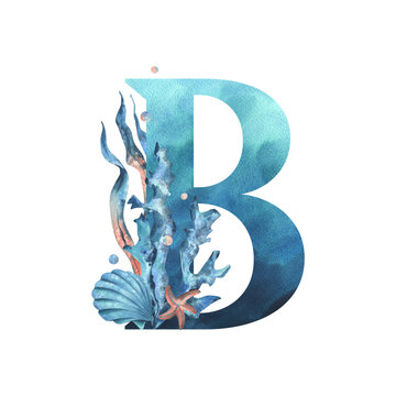 Capital letter B, part of the Latin alphabet decorated in a wet theme with corals, shells, algae, bubbles, blue and coral colors. Hand drawn watercolor illustration. Element isolated from background.
