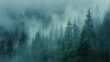 © AnastasiiaSai - Thick fog in a rainy gloomy forest