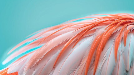 Wall Mural - Macro shot of coral feathers with teal background