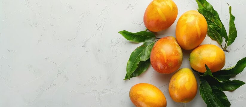 Mango fruit on a white background