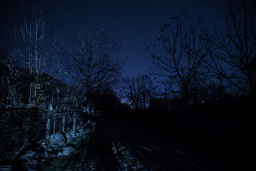 Wall Mural - mountain road through the forest on a full moon night. scenic night landscape of country road at nig