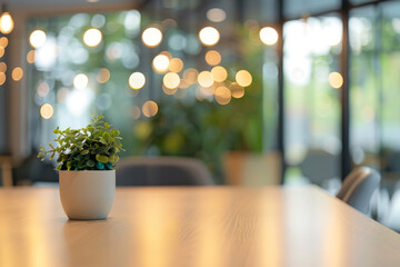 Canvas Print - A potted plant sits on a table in a room with a window